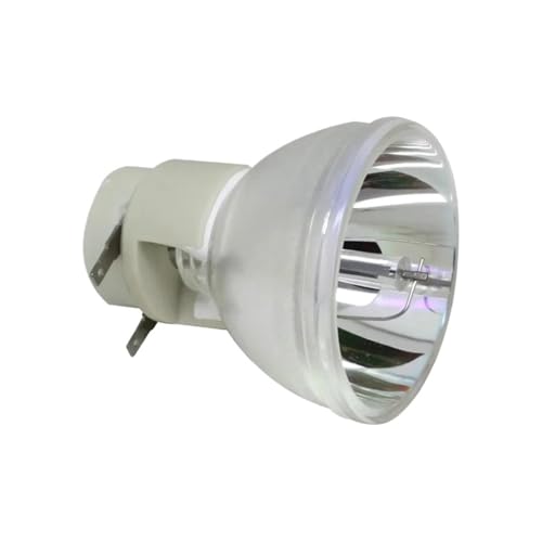 �����p�v���W�F�N�^�[�����v BL FP240D �� HD161X WHD HD50 WHD ���W���[���ɓK�����܂�