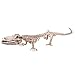 Produktbild Boland 72259 - Krokodil-Skelett, Größe 16 x 50 cm, aus Kunststoff, Alligator, Knochen, Dekoration, Karneval, Mottoparty, Halloween, Horrorparty