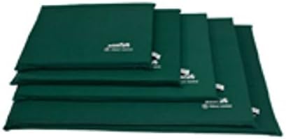 Addicare Enpet Anti Bacterial, Anti Odour Dog Mat Small Green