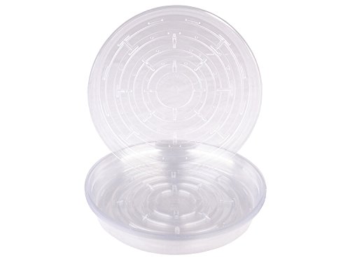 Curtis Wagner Round Clear Vinyl Plant Saucer (25, 7") #TOP2
