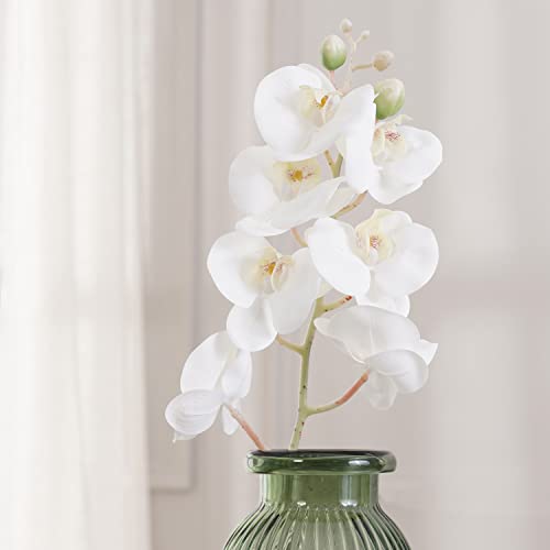 Image of Pure Home and Living Orchid Ivory Stem