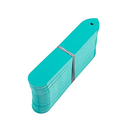 DaoRier Plant Markers with hole, Garden Labels Tags Plastic Waterproof Plant Tags Nursery Seed Label for Gardening (100pcs) 9.5x1.8cm