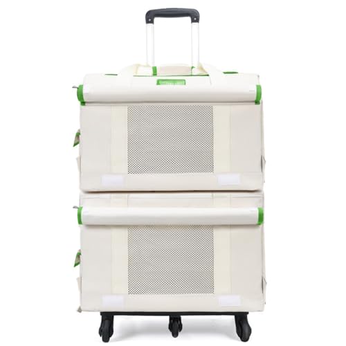 KOGB Lƌp̃obNpbNAʋCEtybgpxr[J[ALXƂ obNpbNA360x]A킢ybgobOAX[cP[XAspP[XAAa@Aړp̗sobO (O[,㉺wXgbvvbh)