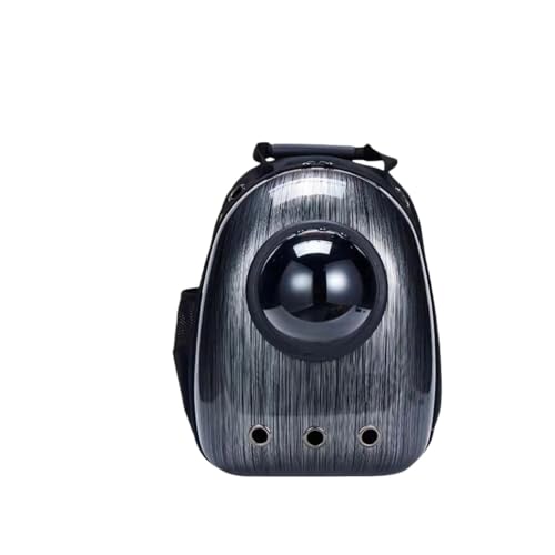 Kiwet L[obO bN LL[ bN FD JvZ y ^p hCu LsO s ʉ@ ЊQ p (12)