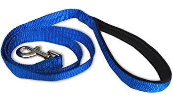 RvPaws Dog Nylon Soft Leash with Heavy Hook Durable & Strong Soft Padded Handle (Blue, Small)