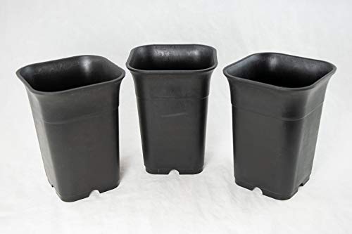 3 Square Heavy Duty Plastic Cascade Bonsai Pot, Cactus & Succulent/Orchid Planter - 4'x 4'x...