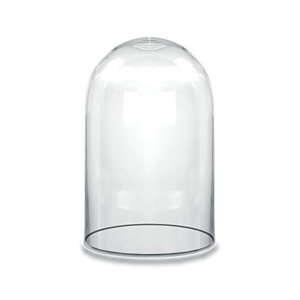 CYS EXCEL Showcase Piece, Cloche Bell Jar Terrarium, No Wood Base, H-10.5" D-6"