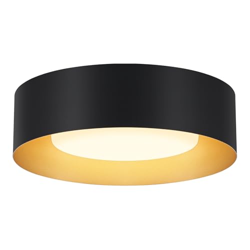 Goomavi Modern Flush Mount Ceiling Lights,Minimalist 12.5IN Round Close to Ceiling Light Fixture,Black and Gold Metal Ceiling Lighting Lamp for Entryway,Hallway,Kitchen,Bedroom by Goomavi - Used condition - US$23.99