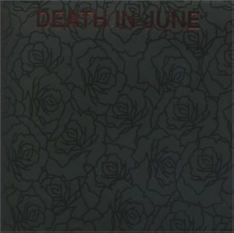 洋楽 Death in June / THE WORLD THAT SUMMER 31DRH4WAWML._UF894,1000_QL80_.jpg