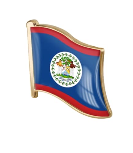 Image of vmcoatdu 1inch Country Flag Pin Badge International Travel Brooch Metal Alloy Souvenir Pin