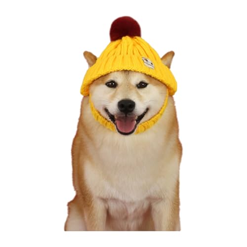 Yirdapall �� �L �X�q �j�b�g�X �y�b�g�p �h�� �~ ������� �g���� ���킢�� �������� �ю� ��蕨 ���Ԃ���� �|���|�� �U�� ���o���� �y�b�g�O�b�Y ���^�� ���^�� �L�p (�C�G���[,M)