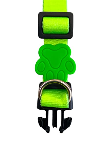 Coleira Neon Para Cachorros,M,Coleira Ajustável,Passeio e Viagem,Confortável e Resistente,Verde