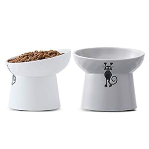 Tamaykim T/Cat Bowl-XK-W1+G1 Keramik-Katzennäpfe 2 Stück