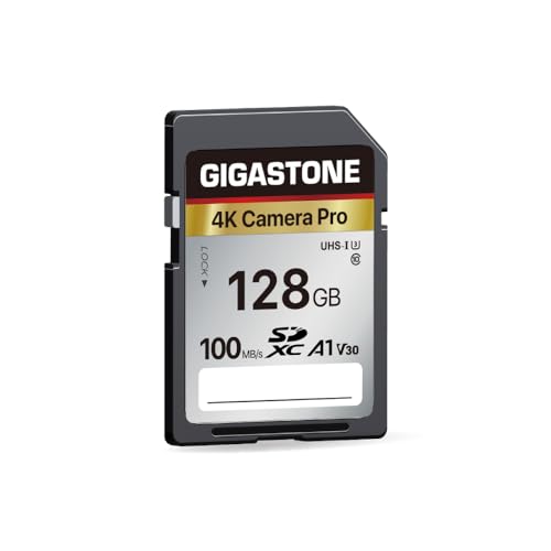 memorias sd Marca Gigastone
