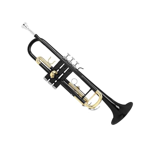 gybg 7C}EXs[X{bNXtǊy평SҌBbX^_[hgybgZbgB(Black Trumpet)