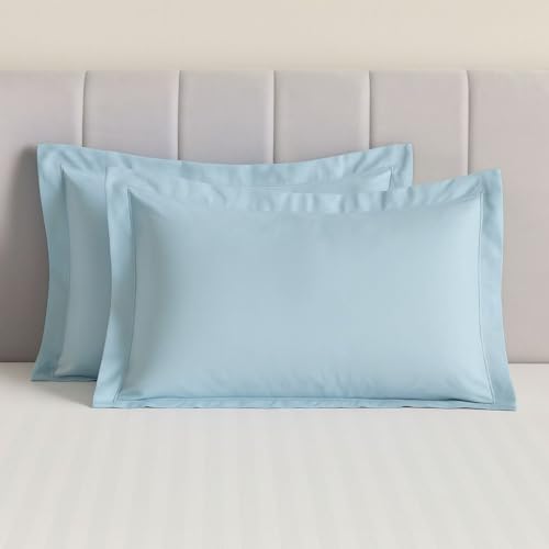 Luxury 1000 Thread Count Pillow Covers | 100% Egyptian Cotton | Soft, Breathable & Durable | Envelope Closure | Premium Hotel Collection Pillow Cases (Pack of 2, 20x30 inch Light Blue)