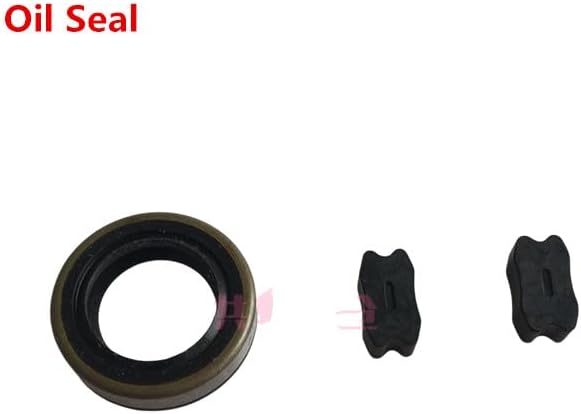 ! !Repair Kit for Isuzu,VE Pump,High Pressure Fuel Pump Repari Kit - (Color: 2 Bag)