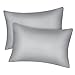 Fittia 2er-Set Lyocell Bambus Kissenbezug Bambusfaser Kopfkissenbezug Kissenhülle Seidig weichkühlend atmungsaktiv mit verdecktem Reißverschluss, Silbergrau, 40x80cm