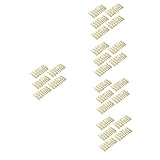 SAFIGLE