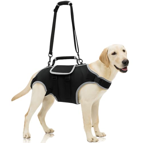 Full Body Dog Lift Harness for Medium Dogs - Mobility Support Harness with Handle,Adjustable Mobility Aid for Injured or Senior Dogs, Black,M