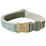 Tiiyar 犬首輪 名前入り レーザー刻印のお名前＆電話番号 カスタムペット用首輪 小型、中型、大型犬に適用 (S, ライトグリーン)