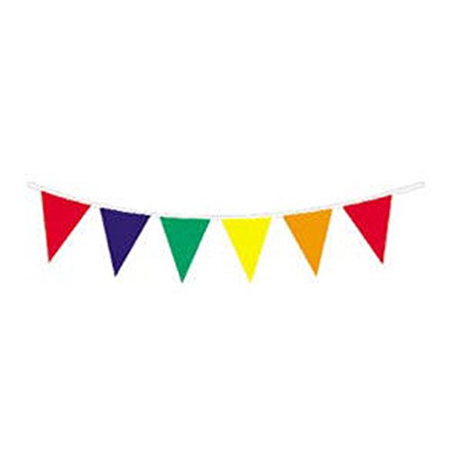 Outdoor Pennant Banner (multi-color) Party Accessory  (1 count) (1/Pkg)