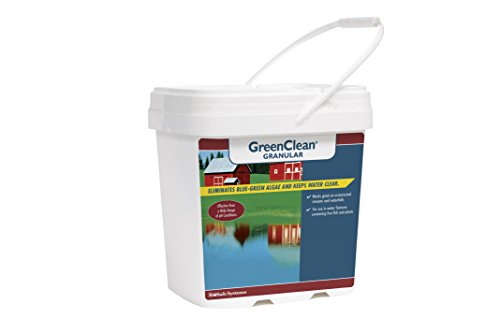 BioSafe Systems GreenClean Granular Algaecide - 20 lbs - String Algae Control for Koi Pond, Fountain, Waterfall, Water Features on Contact. EPA Registered. - Thumbnail 2