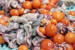 玉ひも（ちょうちん/きんかん） １kg 【国産】　冷蔵品