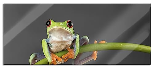 Pixxprint Glasbild Panorama, Wandbild aus Echtglas, Baum-Frosch auf Bambus, 100x40 cm, inkl. Aufhängung und Abstandshalter