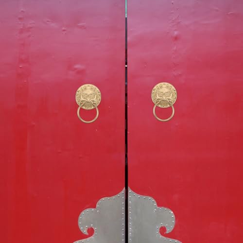 Aldaba de puerta de león en latón dorado vintage para una entrada elegante y resistente 8