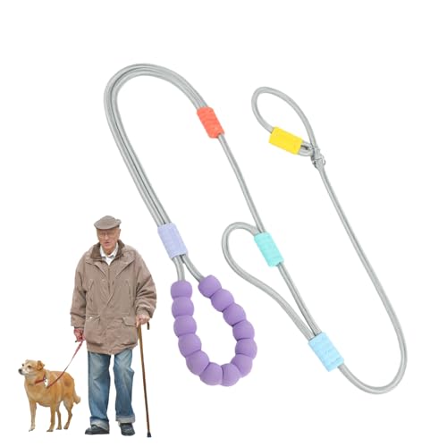 Laisse pour chien réglable et rembourrée pour une randonnée confortable