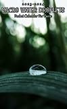 2023-2024 Macro Water Droplets Pocket Calendar: 2 Year Monthly Planner With Macro Water Droplets 24 Months Calendar For Purse Vitally Need  Daily Notebook, Diary With Password Logs & Note Sections