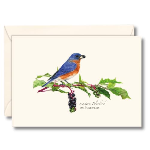 Image of Earth Sky + Water - Bluebird on Pokeweed Notecard Set - 8 Blank Cards with Envelopes