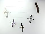 Wilderness Birds Mobile