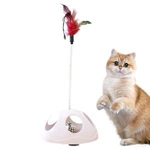 Generico Katzenspielzeugstab, Spielzeug mit und Feder f&uuml;r Katzen, f&uuml;r Welpen, Training, Anti-Stress-Spielzeug, f&uuml;r Fenster zu Hause