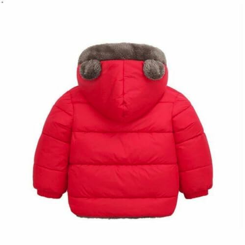 Tricycle Clothing Standard Length Kids Boys & Girls Unisex Warm Full Sleeves Reversible Quilted Furr Jacket With Hood (2-3 Year, Red)