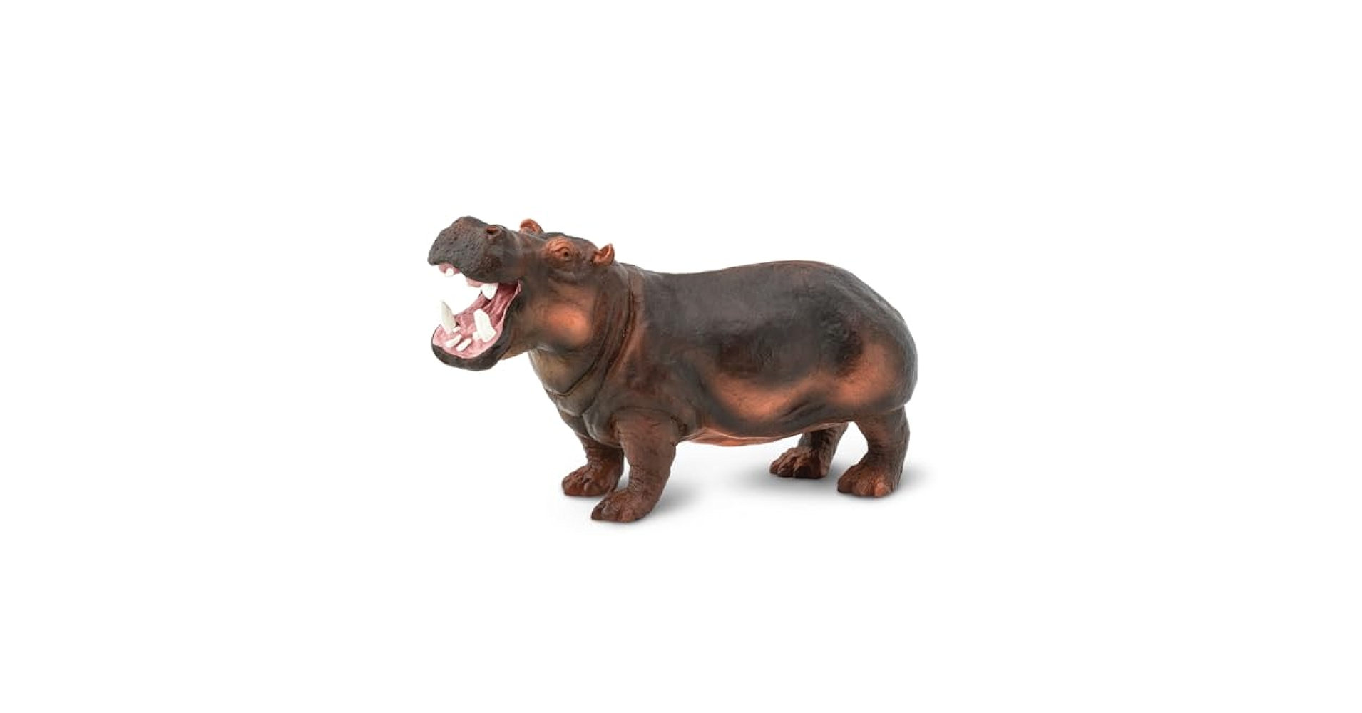 ‪ HIPPOさま ❶ ‪ hippo_ride_on__36597.
