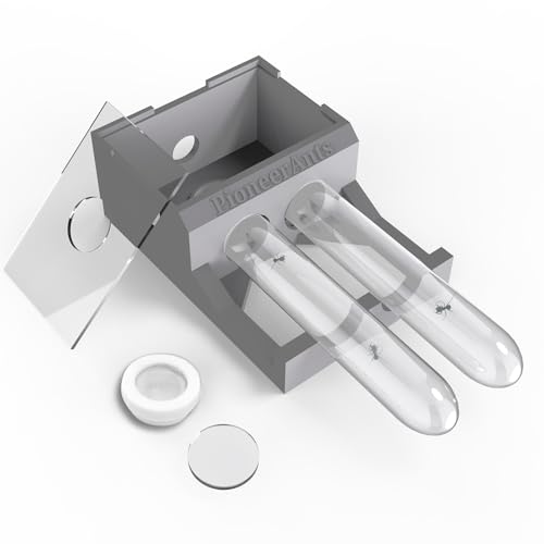 Transparent Mini Ant Farm with Dual Test Tubes for Thriving Ant Colony Observation (Gray)