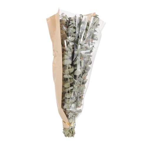 Ramo seco de eucalipto y lavanda para ducha miniatura 7