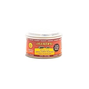 Fluker’s Gourmet Canned Food for Reptiles, Fish, Birds and Small Animals, Small Dubia Roaches, 1.2 oz