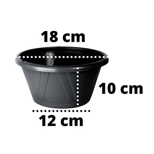 Vaso Cuia Nobre 00 Preto Com Prato - Nutriplan