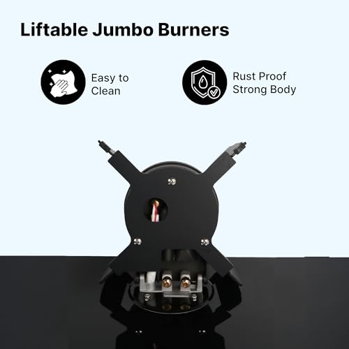 Image of Thermador 2 Burner Gas Hob | Hob Gas Stove | Gas Stove 2 Burners | Triple Ring Brass Burner| Compact Knob Less Design | Built In Timer Function | ISI Certified |Flame Failure Protection| Black |