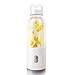 Daytwork Extracteur de Jus - Mini Fruits et Légumes 500ML USB Portable Blende Presse Fruit Professionnel Convient Blanc