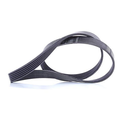 Continental Contitech 6PK1090 ELAST Courroie trapézoïdale à nervures