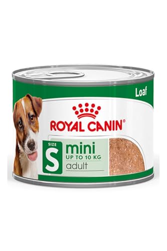 Royal Canin Mini Adult | 12 x 195 g | Alimento umido per cani adulti di piccola taglia (da 1 a 10 kg) | Da 10 mesi a 12 anni | Contenuto energetico adattato