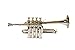 New Piccolo Trumpet Key Bb Free Hard Case & MouthPiece (Golden + Silver)