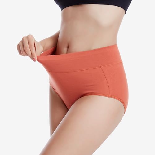 Ropa Interior, Book calzones mujer moda Marca micsun (3)