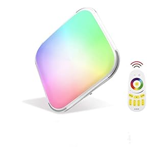 Papasbox Led-plafondlamp, paneel, wisselende kleuren, 48 W, RGB, dimbaar, 2700 K-6500 K, met afstandsbediening, IP44 vierkant, platte inbouwlamp voor slaapkamer, woonkamer, keuken en kinderkamer