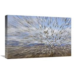 16 x 24 in. Snow Goose Massive Flock Flying, Bosque Del Apache National Wildlife Refuge, New Mexico Art Print - Konrad Wothe