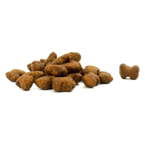 SKIPPER'S Immune Boost Dog Treats with Probiotics Cover